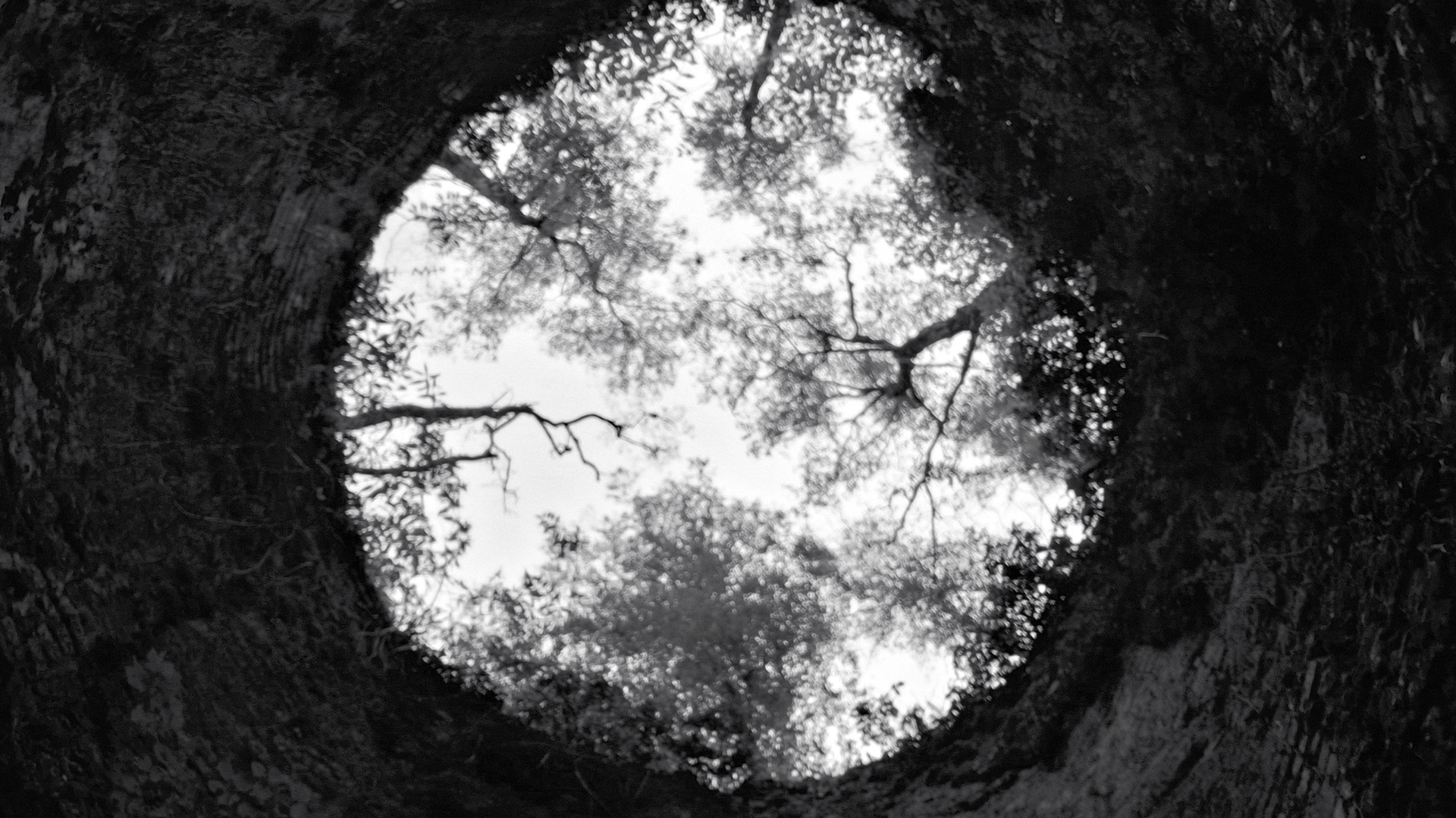 Fond de la chronique